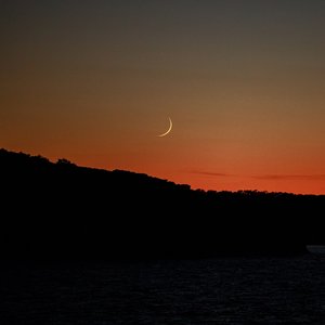 Image pour 'Perfect in a Midnight World'