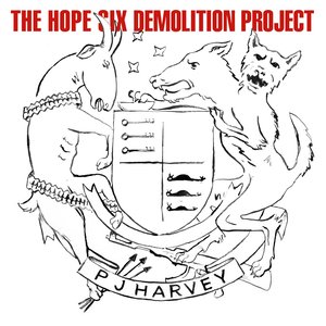 Image for 'The Hope Six Demolition Project'