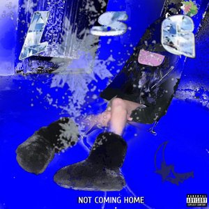 Image for 'not coming home'