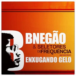 Immagine per 'Enxugando Gelo'
