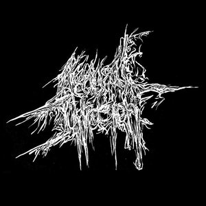 Image for 'ACAUSAL INTRUSION'