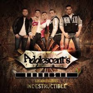 Image for 'Indestructible'
