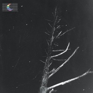 Image for '(Colours of the Night) Satellite'