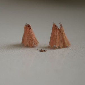 Immagine per '2004 - 2017'