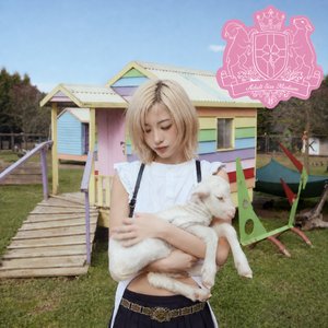 Image for ''ADULT SIZE MEDIUM' The 3rd Album'