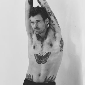Image pour 'Harry Styles'