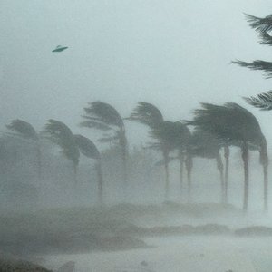 Image for 'UFO'