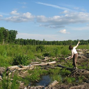 Image for 'Jaew'