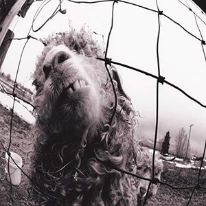 Image for 'Vs. Expanded Edition (3 Bonus Tracks) [Explicit]'