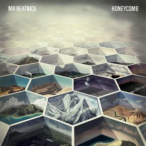 Immagine per 'Honeycomb'