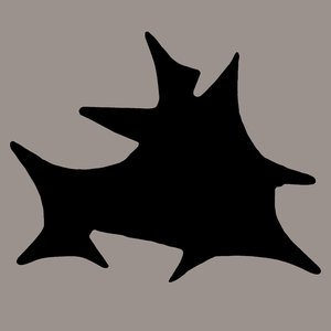 Image for 'Acción directa'