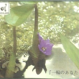 Изображение для '一輪のあなたに・・・'