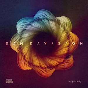 Image for 'Dim Division'