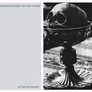 Image for 'Le trésor maudit'
