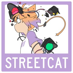 Immagine per 'streetcat'