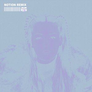 Imagen de 'The Days (NOTION Remix)'