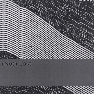 Image for '(Not) Lost'