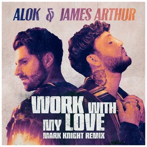 Image pour 'Work With My Love (Mark Knight Remix)'