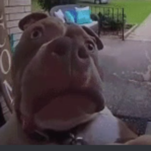 TheBigDrop