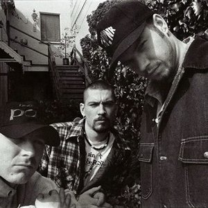 Image for 'House of Pain'