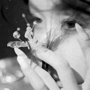Image for 'gift of pain'