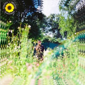 Image for 'Sunflower - Single'