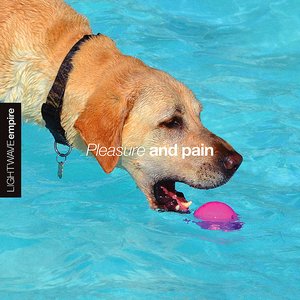 Image for 'Pleasure And Pain'