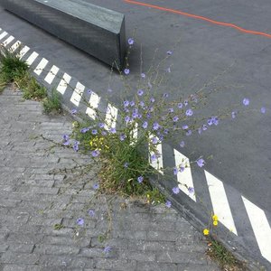 Image for 'Bend'