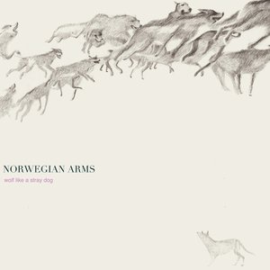 Image for 'Wolf Like A Stray Dog'