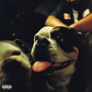 Image for 'BULLDAWG'