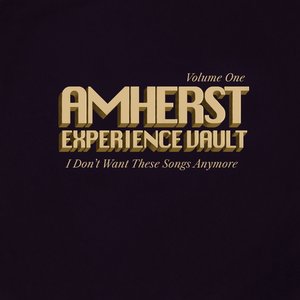 Image for 'Amherst Experience Vault Vol. 1'