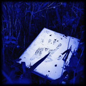Image for 'Case Files (Revisited)'