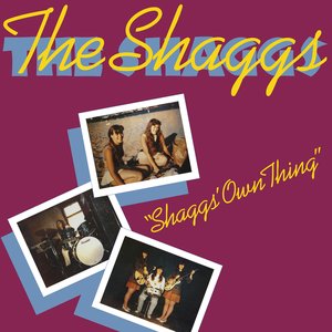 Image for 'Shaggs' Own Thing'