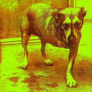 Imagen de 'Alice in Chains'