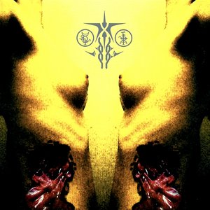 Image for 'VTERVS'