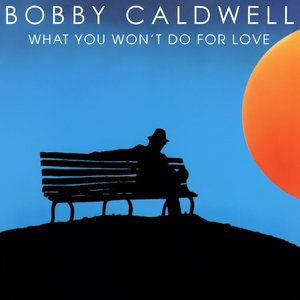 Image for 'What You Won't Do For Love'