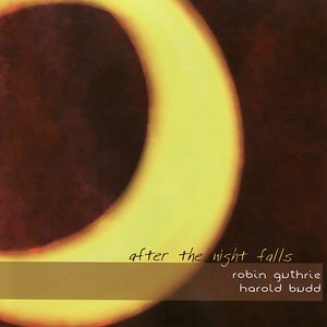 Bild für 'After the Night Falls'