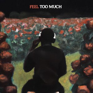 Image for 'Feel Too Much'
