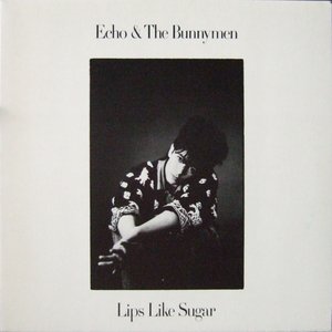 Immagine per 'Lips Like Sugar'
