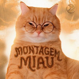 Image for 'Montagem Miau'