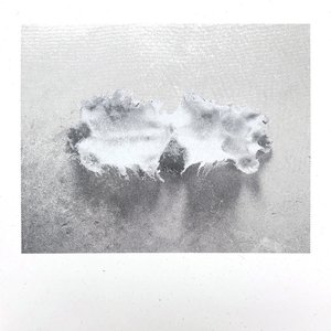 Изображение для 'Glass Torso'