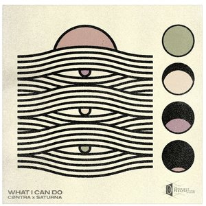 Image for 'What I Can Do'