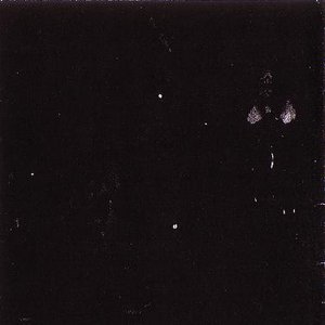 Image for 'the fool'