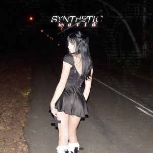 Immagine per 'Synthetic World'