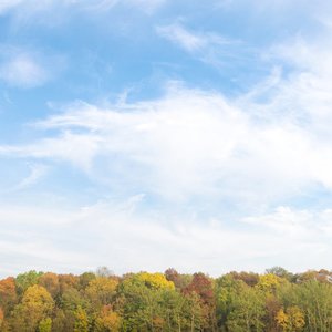 Изображение для 'Natural Healing Music Zone'