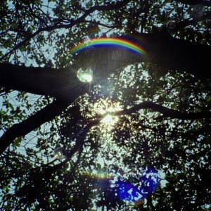 Image for 'Canopy & Shades Of Green'