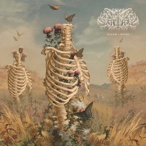 Image for 'Bloom & Decay'
