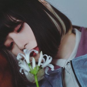 'majiko'の画像