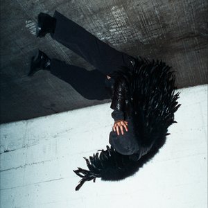 Image for 'fall in love'