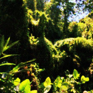 Image for 'My Vestigial Summer [MIXTAPE]'